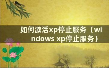 如何激活xp停止服务（windows xp停止服务）